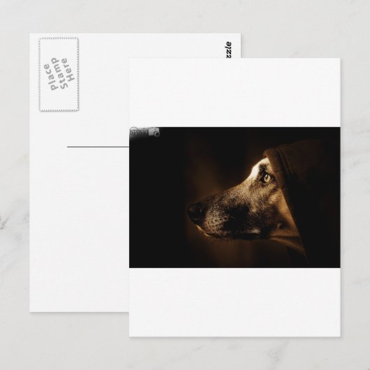 ドッグ ポストカード (正面/裏面)