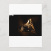 ドッグ ポストカード (正面)