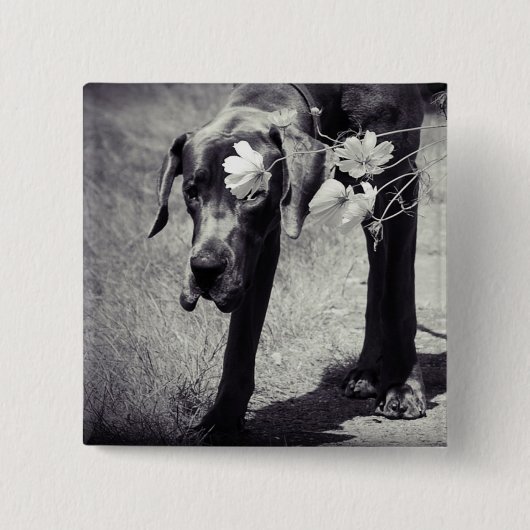 ドッゲバル 缶バッジ (正面)