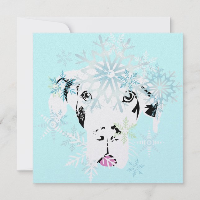 ドッゲンカルテンメトタリック・カヤ (正面)