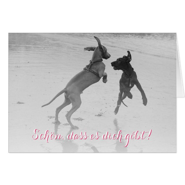 ドッゲンカルテ「シェン」 (正面横)