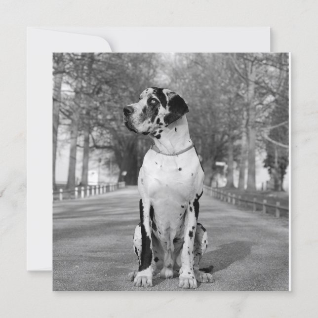 ドッゲンハウス (正面)