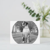 ドッゲンハウス ポストカード (スタンド正面)