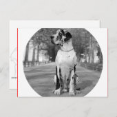 ドッゲンハウス ポストカード (正面/裏面)