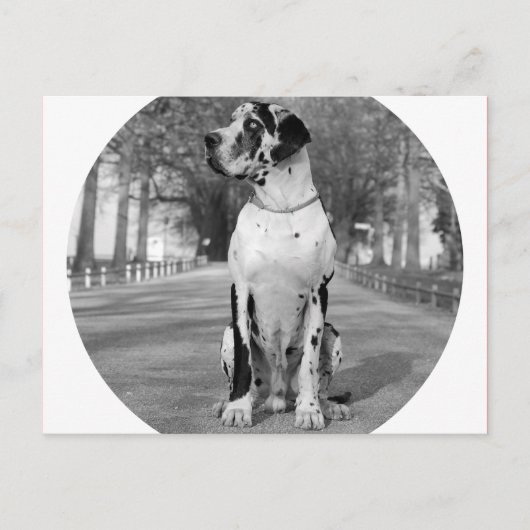 ドッゲンハウス ポストカード (正面)