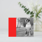 ドッゲンハウス ポストカード (スタンド正面)