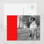 ドッゲンハウス ポストカード (正面/裏面)