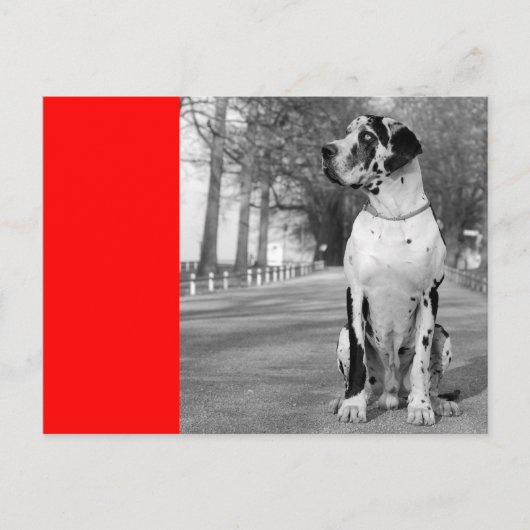 ドッゲンハウス ポストカード (正面)