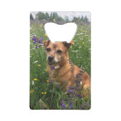 ドッゲンフォトスフラシェノフナー クレジットカード栓抜き (正面)