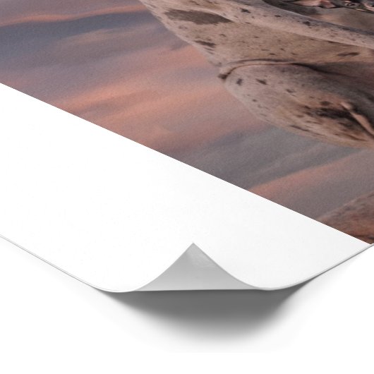 ドッゲ+チワワ ポスター (角)