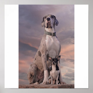 ドッゲ+チワワ ポスター