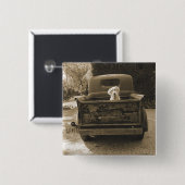 ドッジから出る – 犬の写真 缶バッジ (正面&裏面)