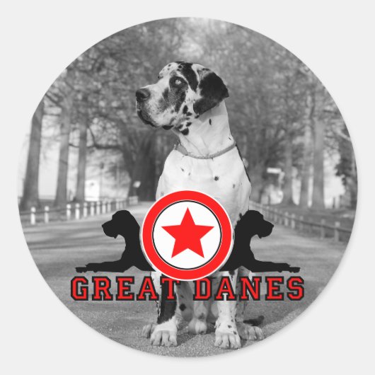 ドッジェナウフクレバー ラウンドシール (正面)