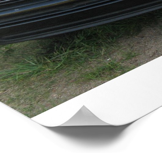 ドッジラム ポスター (角)