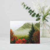 ドッジロードミスト(明るい) ポストカード (スタンド正面)