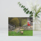 ドッジ自然センター ポストカード (スタンド正面)