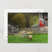 ドッジ自然センター ポストカード (正面/裏面)