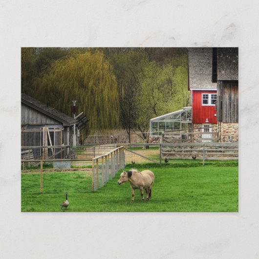 ドッジ自然センター ポストカード (正面)