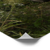 ドッジWC 57 ポスター (角)