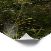 ドッジWC 57 ポスター (コーナー)