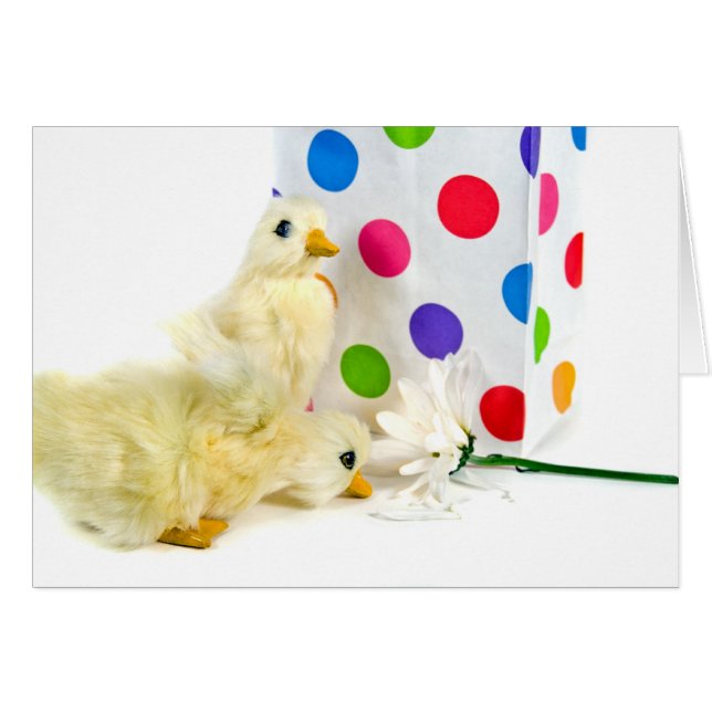 ドット、ダック、デイジー (正面横)