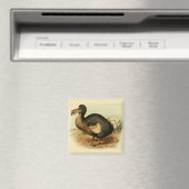 ドッド磁石 マグネット (インサイチュ (食洗機))