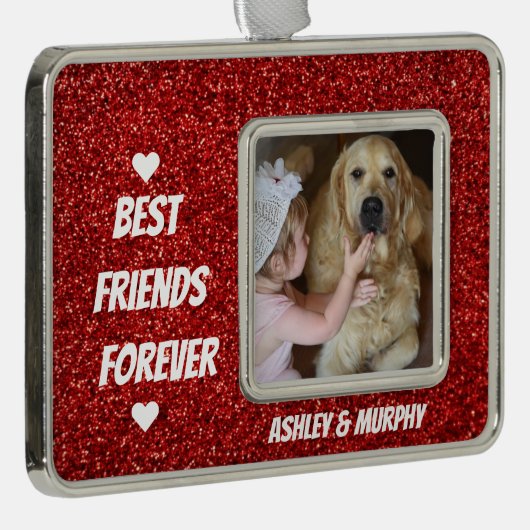 ドッパーソナライズされたグペットのフレ最高のンズ引用文 シルバープレートフレームオーナメント (右)