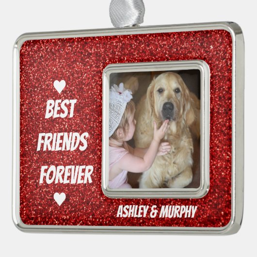 ドッパーソナライズされたグペットのフレ最高のンズ引用文 シルバープレートフレームオーナメント (左)