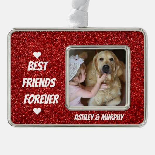 ドッパーソナライズされたグペットのフレ最高のンズ引用文 シルバープレートフレームオーナメント (正面)