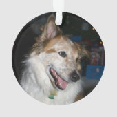 ドッモダングレッド初めてのクリスマススノーフレーク写真 オーナメント (裏面)