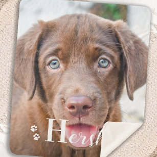ドッ最高のグパーソナライズされたペットラブラドール子犬の写真 シェルパブランケット