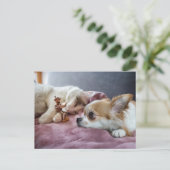 ドッ読グと猫のどんぐり小妖精や小人のおとぎ話 ポストカード (スタンド正面)