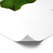 ドデカテオン腸包膜 ポスター (角)