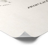 ドデカテオン・メアディア ポスター (角)