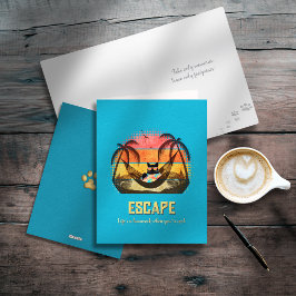 ドデークールム猫のトロピカルエスケープ シーズンカード