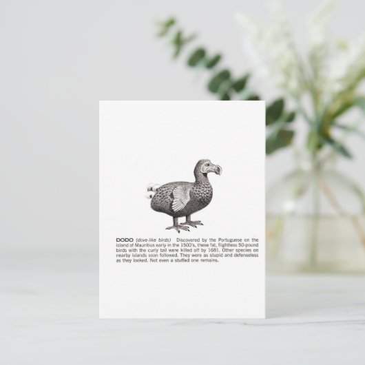 ドド ポストカード (スタンド正面)