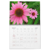 ドナズガーデン2007 カレンダー (3月 2026)