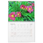 ドナズガーデン2007 カレンダー (2月 2026)