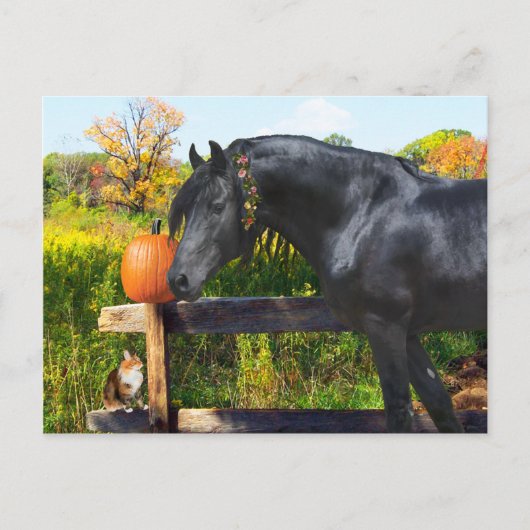 「ドナテラ」はがき ポストカード (正面)