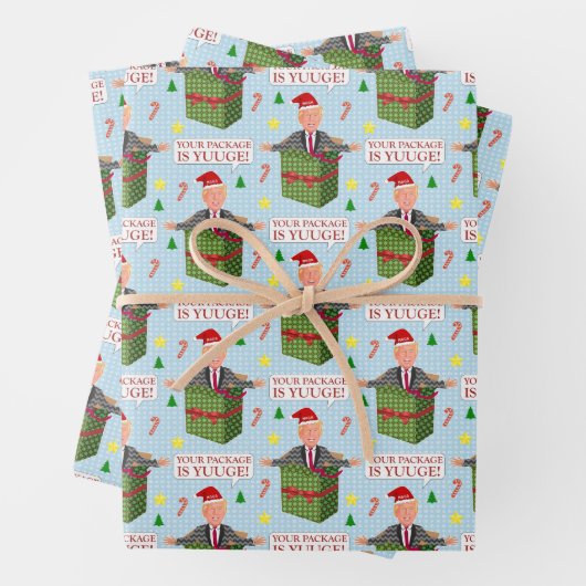 ドナルドおもしろいトランプクリスマスユージパッケージユーモア ラッピングペーパーシート (インサイチュ)