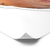 ドナルドトランプマスク切り出し ポスター (角)