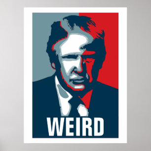 ドナルドトランプ風変わり ポスター