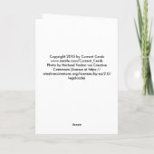 ドナルド・トランプのバースデー・カード -- ケーキおよびプレゼント カード (裏面)