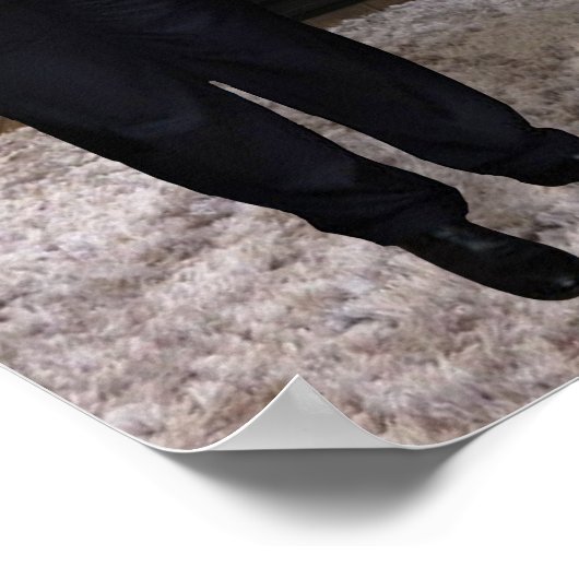 ドナルド・トランプ大統領に会った |写真の追加 ポスター (角)