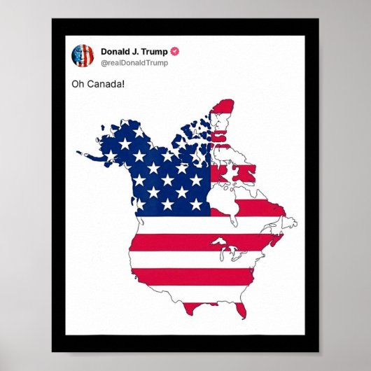 ドナルド・トランプ大統領米国アメリカ国旗 ポスター (正面)