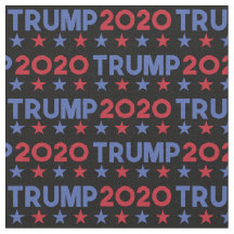 ドナルド・トランプ大統領2020年アメリカ選挙