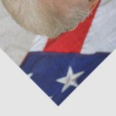 ドナルド・トランプ米国大統領ホワイトハウスMAGA 2024 薄葉紙 (詳細)