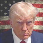 ドナルド・トランプ・マグショット米国国旗のステッカー シール (正面)