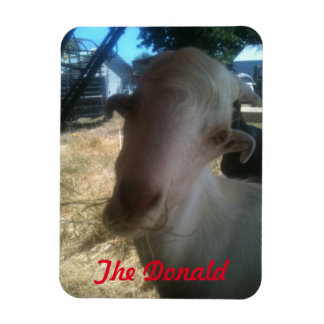 ドナルド マグネット