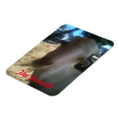 ドナルド マグネット (左側)